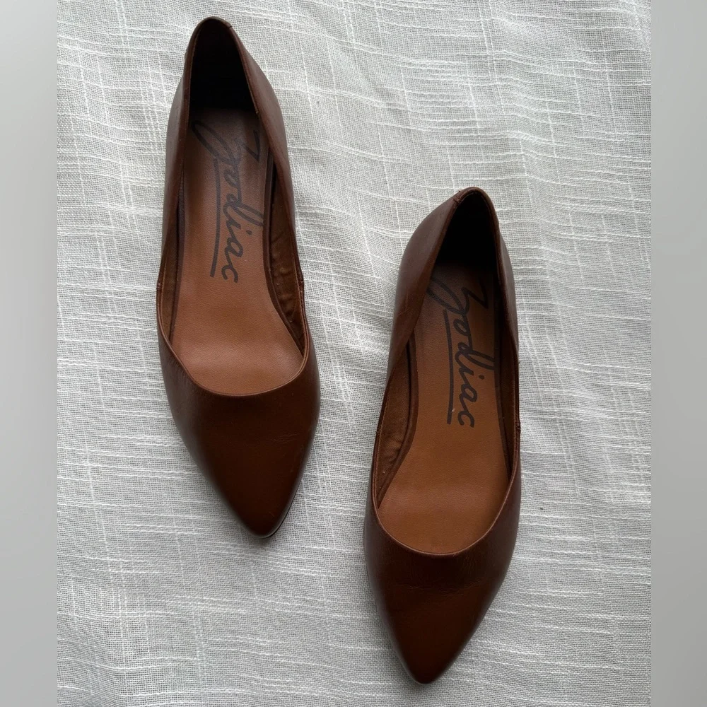Zodiac Hill Snake Embossed Pointed Toe Flat